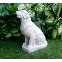 GOlden Retriever Concrete Statue in Alabaster 9.75" high garden decor and pet loss memorial gift