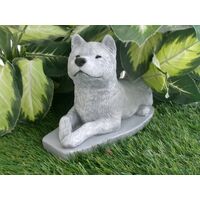 Akita Dog Concrete Statue pet Loss memorial gift, and garden decor finished in Monochrome Grey