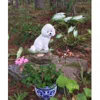 Bichon Frise Concrete Statue Grave Marker