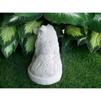 Australian Shepherd concrete statue in Alabaster 5x11x6.5" High Ships  Within 5 Days