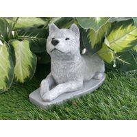 Akita Dog Concrete Statue pet Loss memorial gift, and garden decor finished in Monochrome Grey