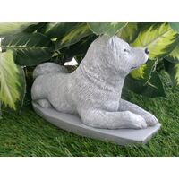 Akita Dog Concrete Statue pet Loss memorial gift, and garden decor finished in Monochrome Grey