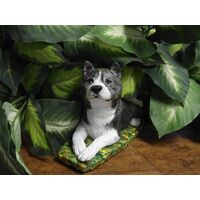 Custom Painted Concrete Statue Akita Dog pet Loss memorial Gift