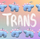 Alternating stegosaurus charms arranged in two rows on the top and bottom of the image. Both charms are pastel blue with light pink back plates and white eyes. "Trans" is handwritten in white between the two rows. The background is an unevenly faded white grid overlaying a pastel rainbow gradient.