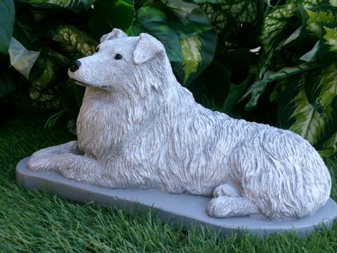 Australian Shepherd Concrete Statue pet Loss Memorial Gift and garden decor finished in Monochrome Grey