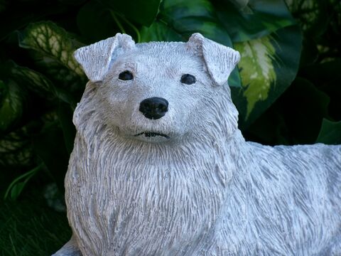 Australian Shepherd Concrete Statue pet Loss Memorial Gift and garden decor finished in Monochrome Grey
