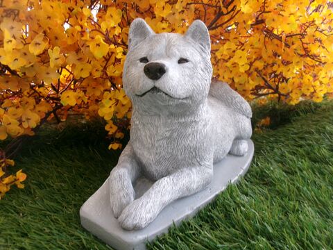 Akita Dog Concrete Statue pet Loss memorial gift, and garden decor finished in Monochrome Grey