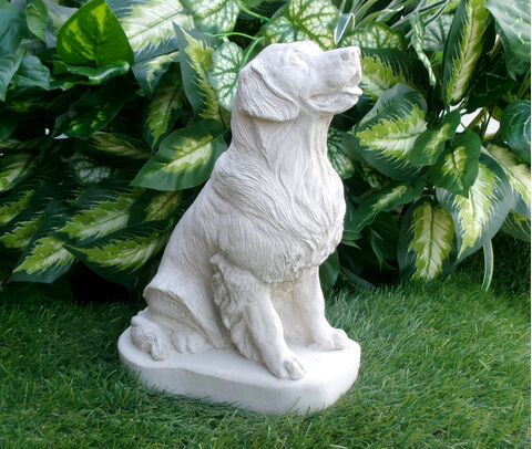 GOlden Retriever Concrete Statue in Alabaster 9.75" high garden decor and pet loss memorial gift