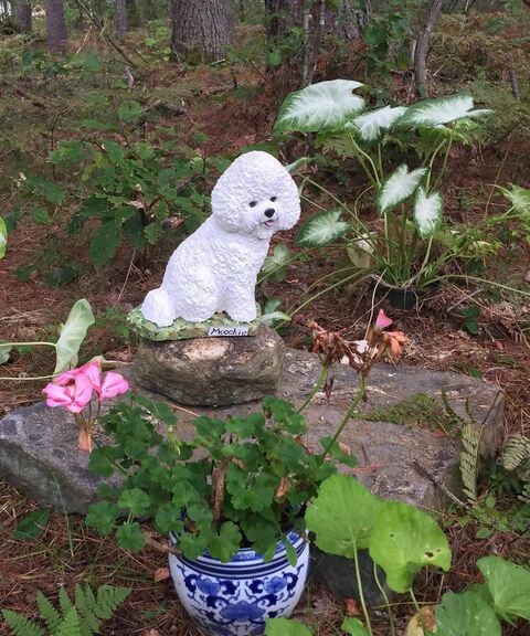 Bichon Frise Concrete Statue Grave Marker
