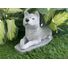 Akita Dog Concrete Statue pet Loss memorial gift, and garden decor finished in Monochrome Grey