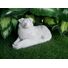 Australian Shepherd concrete statue in Alabaster 5x11x6.5" High Ships  Within 5 Days