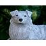Australian Shepherd Concrete Statue pet Loss Memorial Gift and garden decor finished in Monochrome Grey