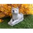 Akita Dog Concrete Statue pet Loss memorial gift, and garden decor finished in Monochrome Grey