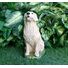 Custom painted Golden Retriever concrete Statue 9.75" high